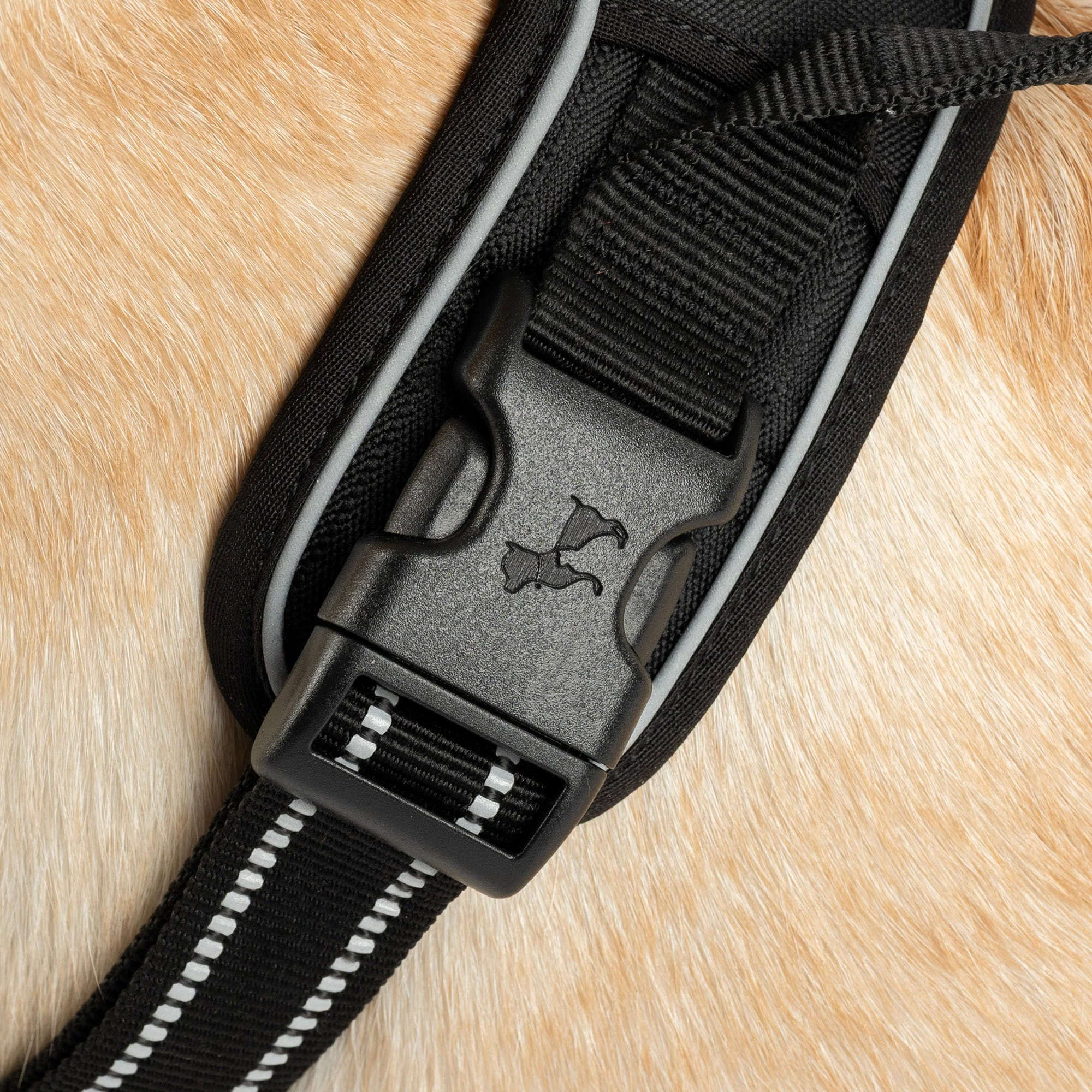 HUFT Xplorers Harness for Dogs (Black) - Image 6