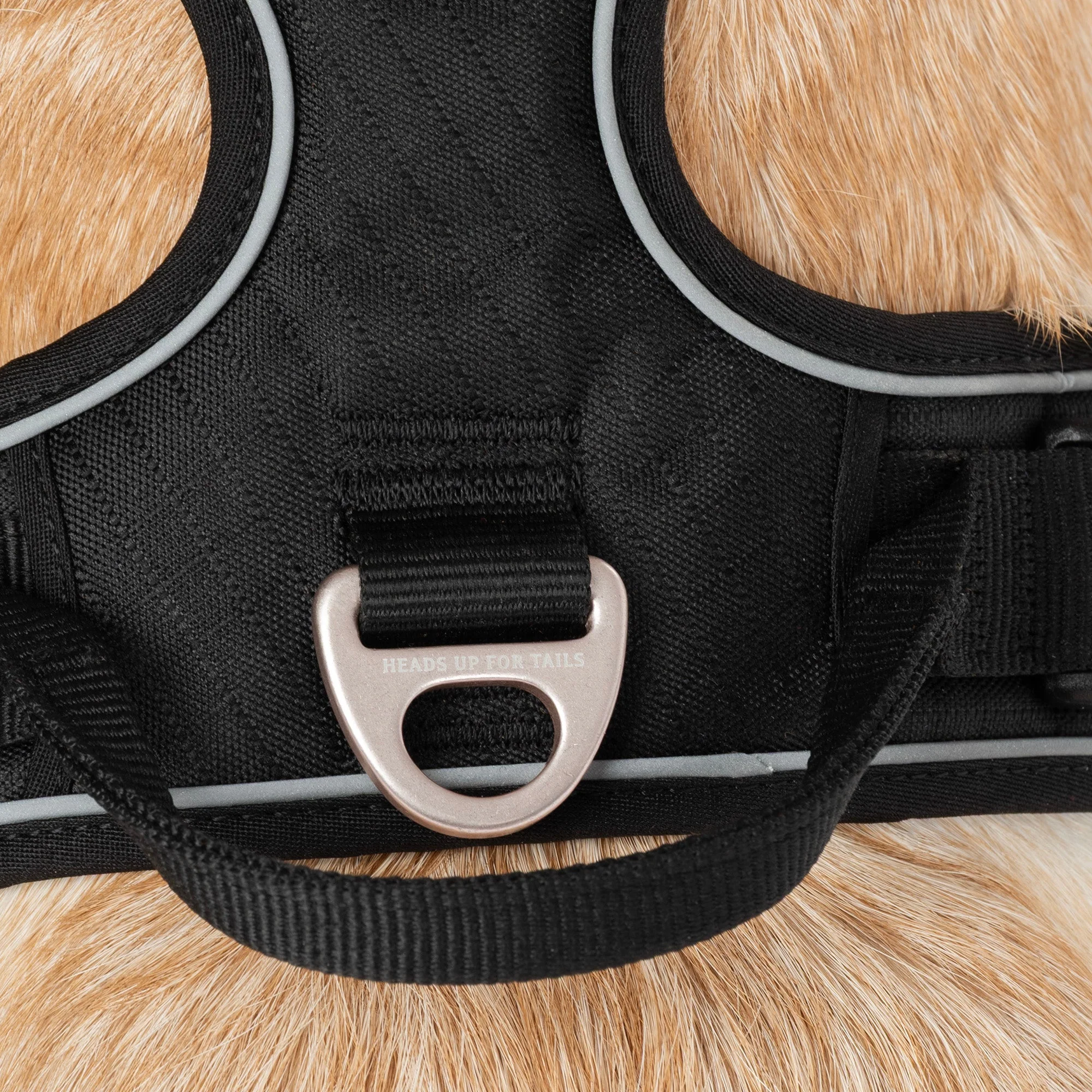 HUFT Xplorers Harness for Dogs (Black) - Image 7