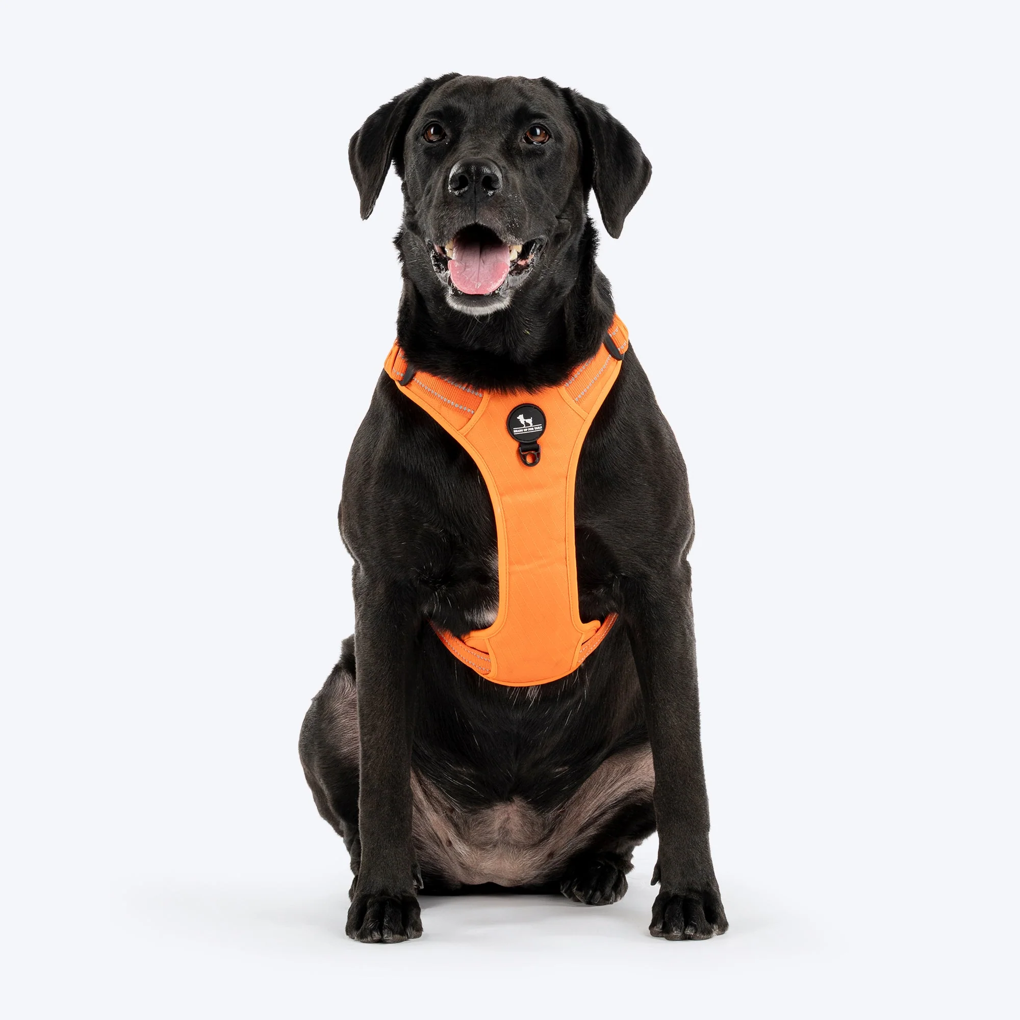 HUFT Xplorers Harness for Dogs (Orange)