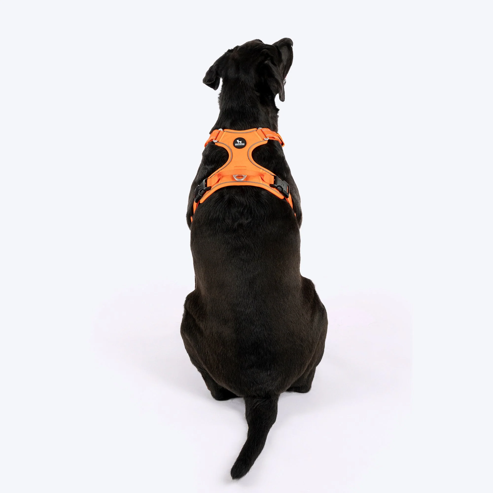 HUFT Xplorers Harness for Dogs (Orange) - Image 2