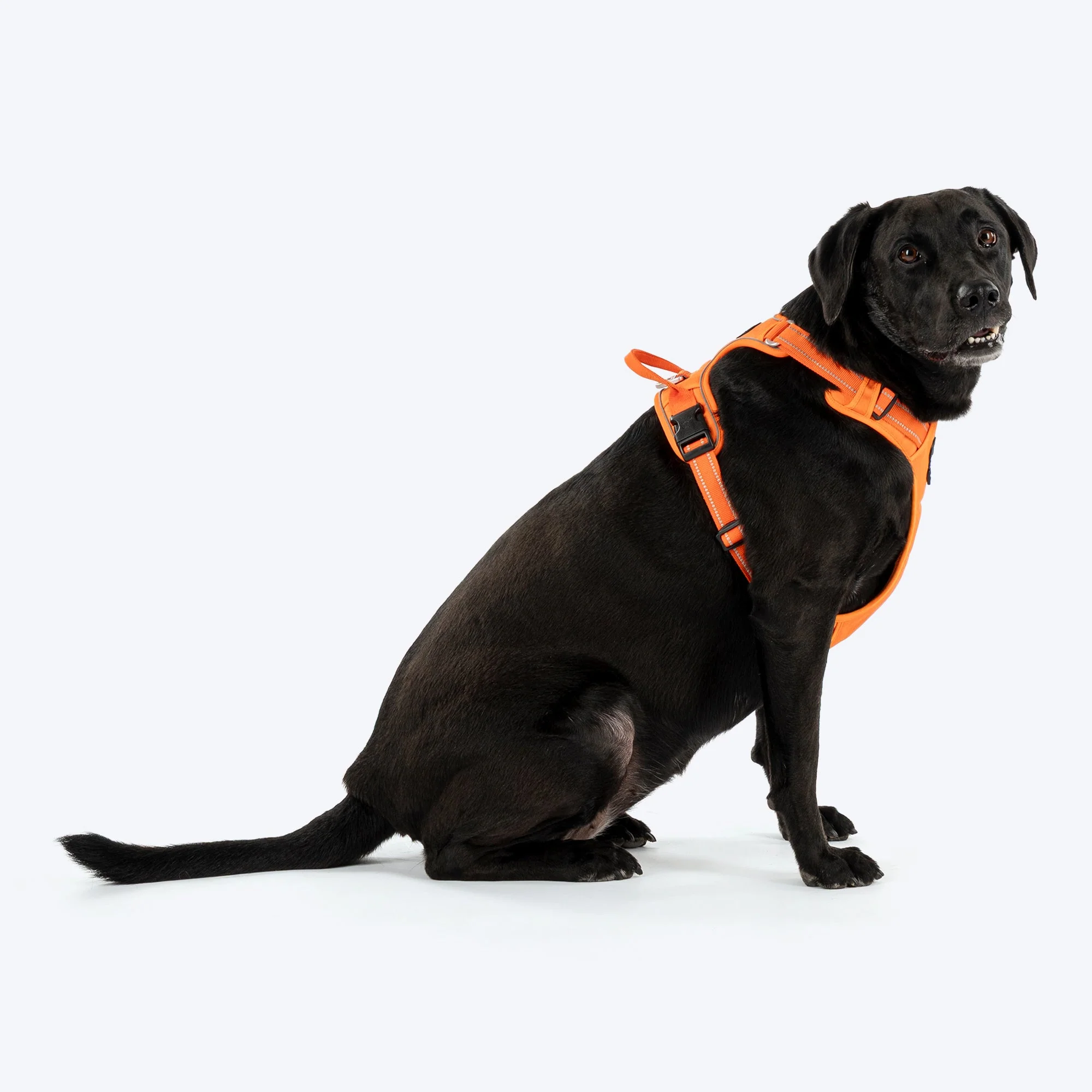 HUFT Xplorers Harness for Dogs (Orange) - Image 3