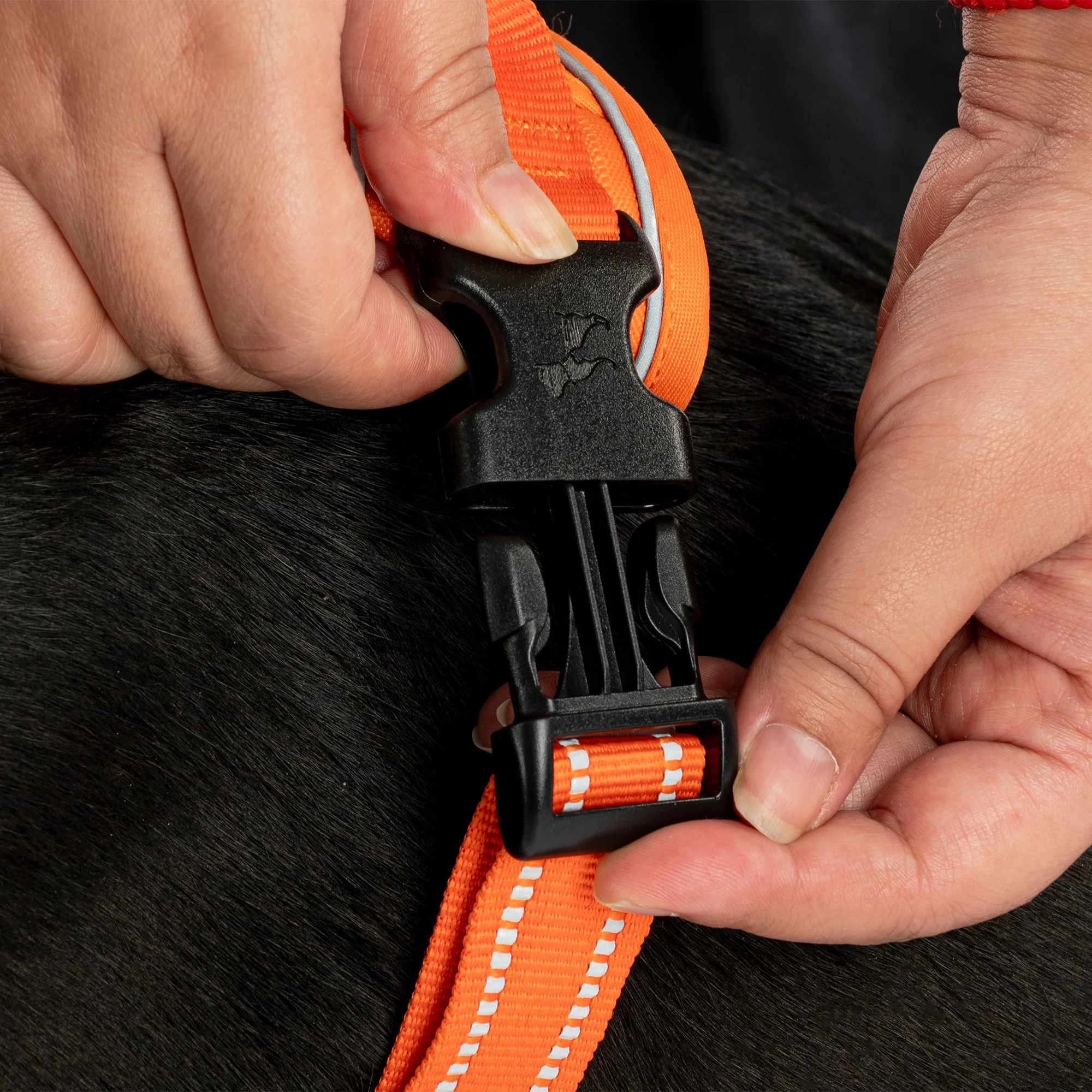 HUFT Xplorers Harness for Dogs (Orange) - Image 6