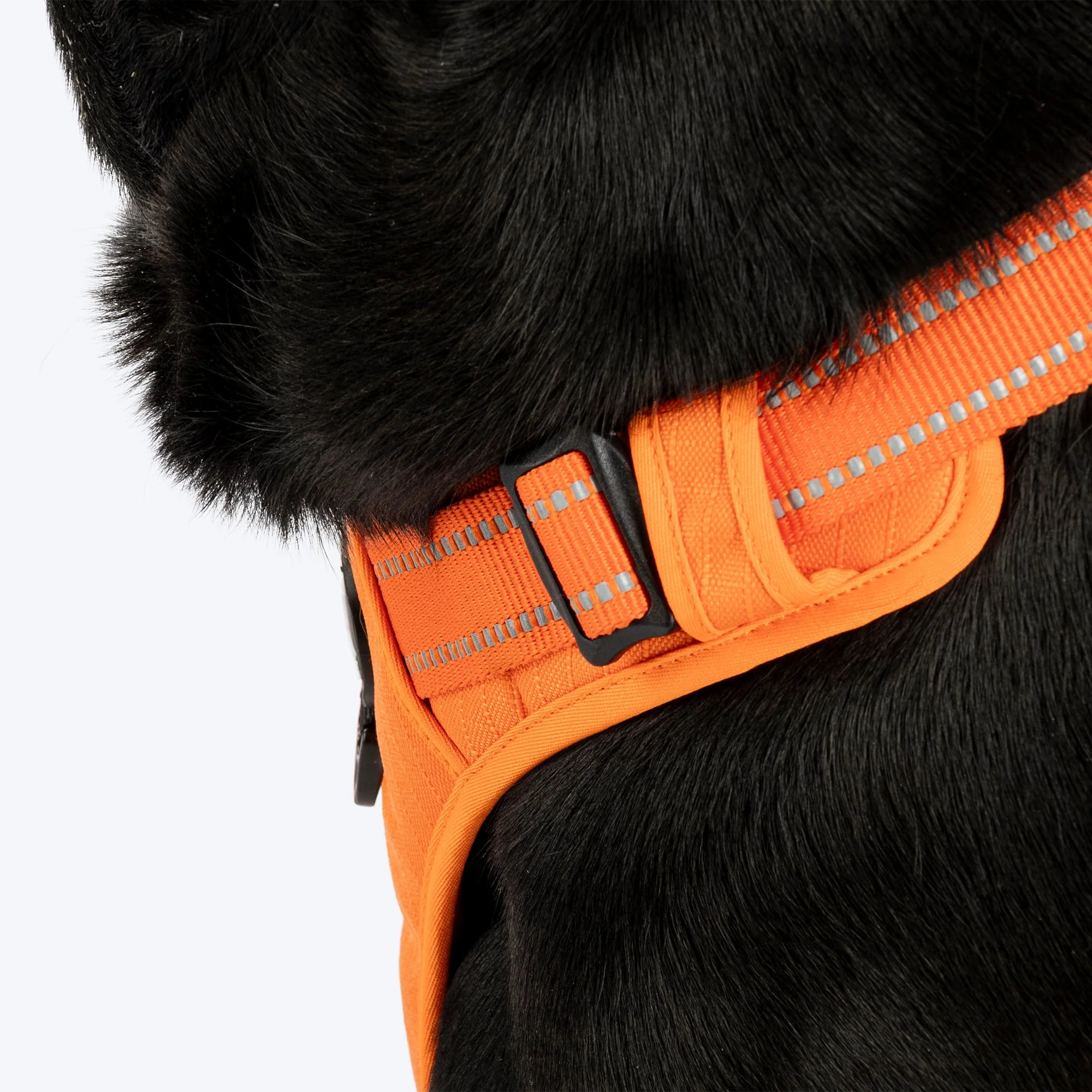 HUFT Xplorers Harness for Dogs (Orange) - Image 7