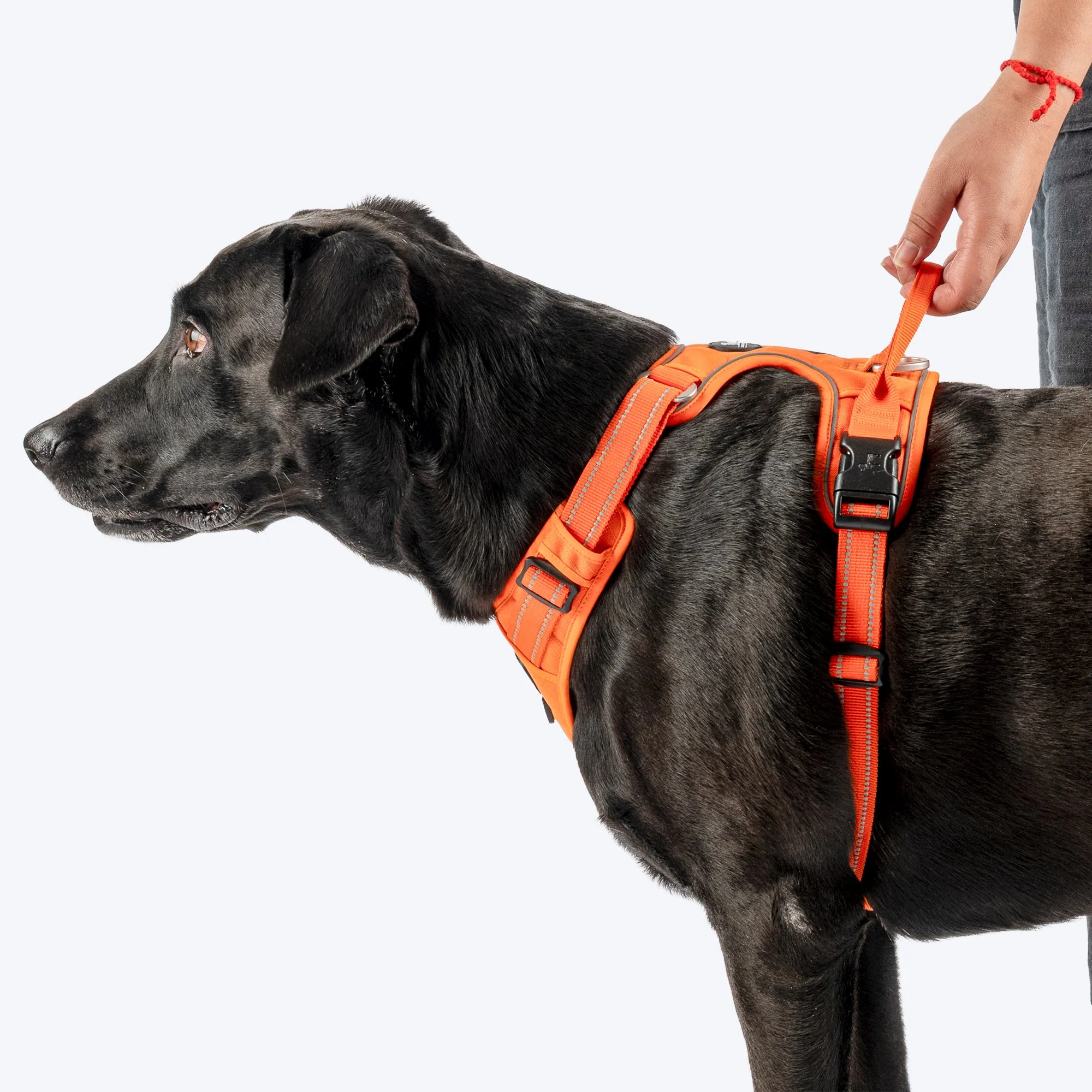 HUFT Xplorers Harness for Dogs (Orange) - Image 8
