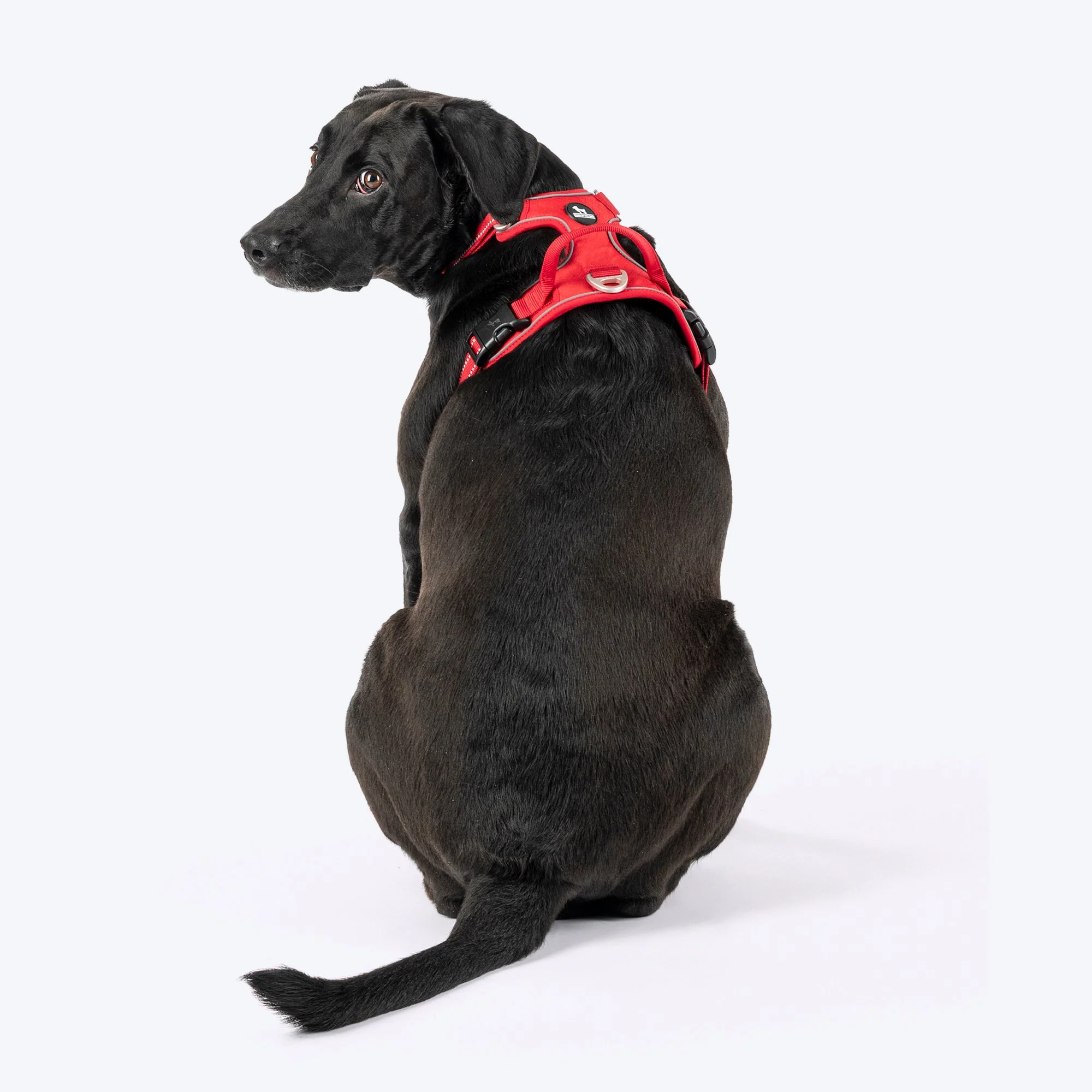 HUFT Xplorers Harness for Dogs (Red) - Image 2