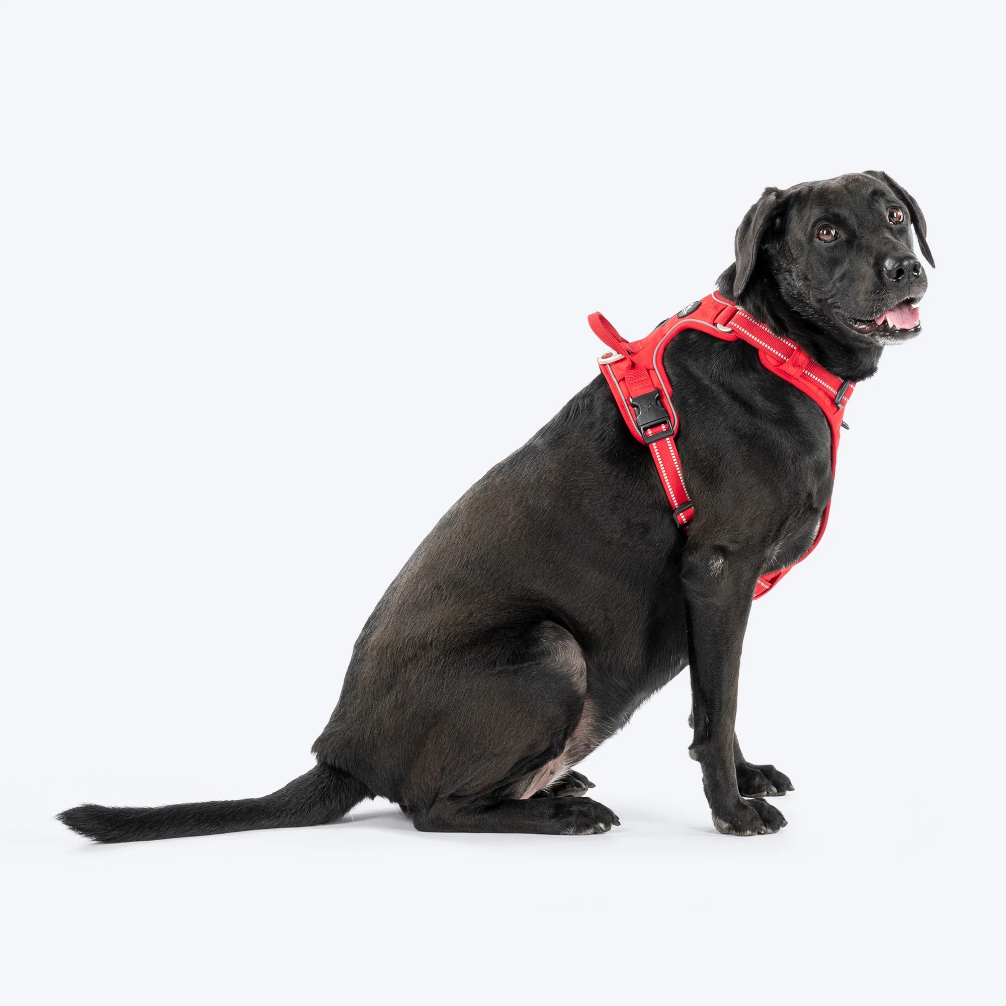 HUFT Xplorers Harness for Dogs (Red) - Image 3