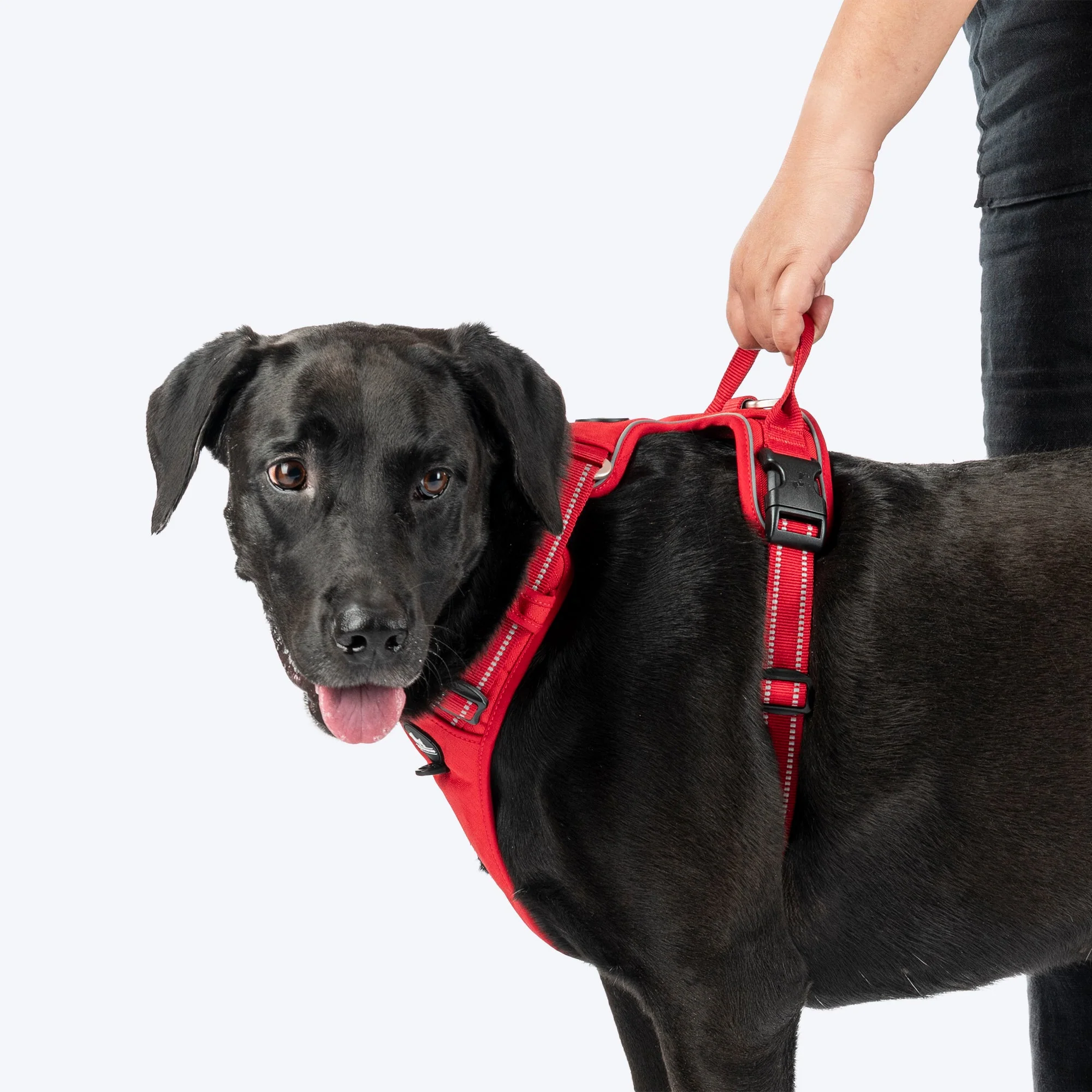 HUFT Xplorers Harness for Dogs (Red) - Image 4