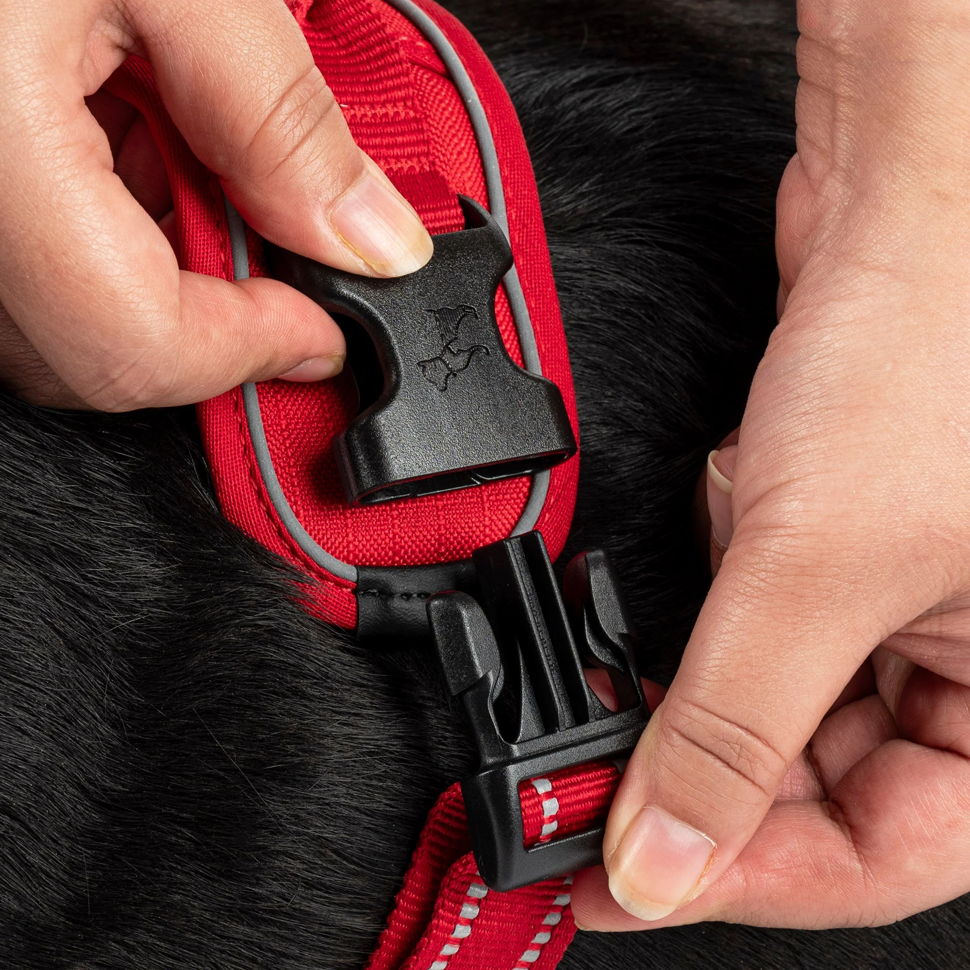 HUFT Xplorers Harness for Dogs (Red) - Image 6