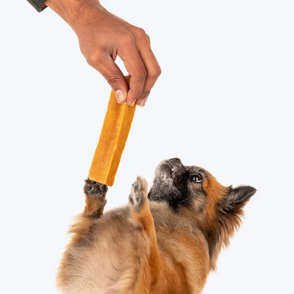 HUFT Yakies 100% Natural and Vegetarian Gluten Free Chew Bone for Dogs - Image 11