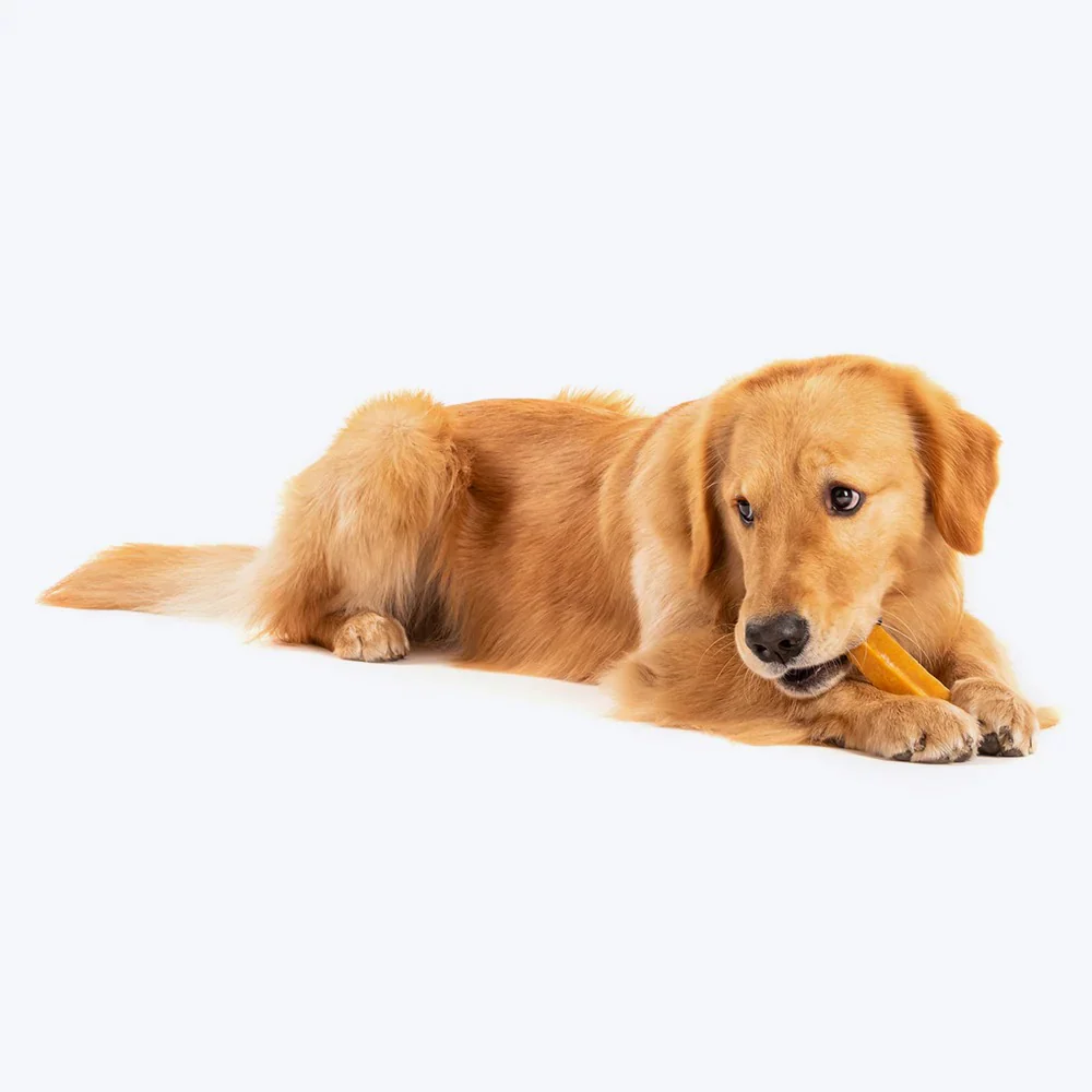 HUFT Yakies 100% Natural and Vegetarian Gluten Free Chew Bone for Dogs - Image 12