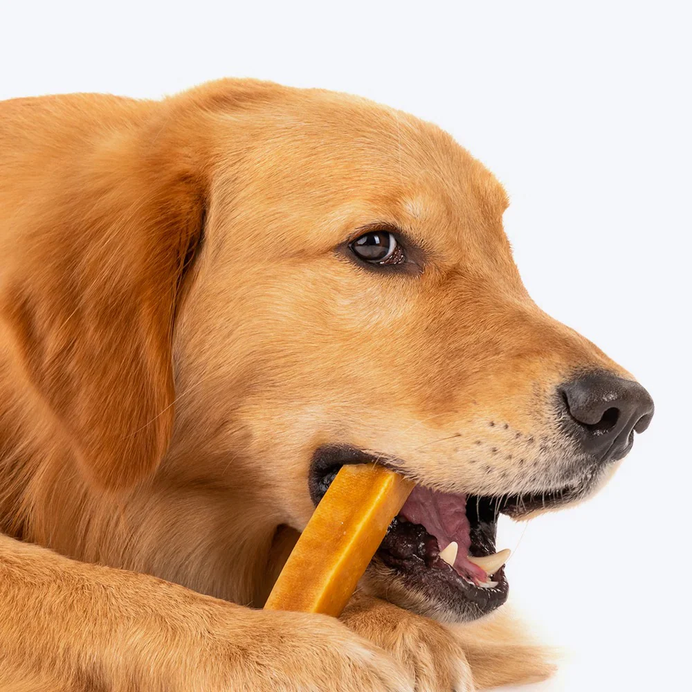 HUFT Yakies 100% Natural and Vegetarian Gluten Free Chew Bone for Dogs - Image 13