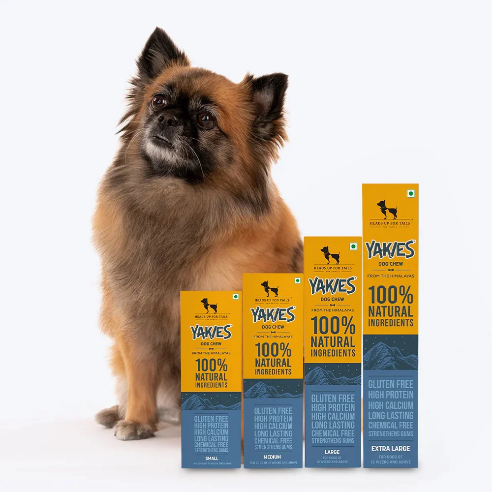 HUFT Yakies 100% Natural and Vegetarian Gluten Free Chew Bone for Dogs - Image 7