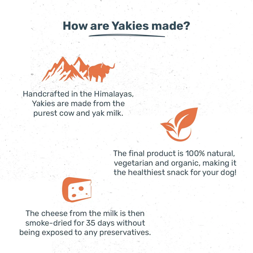 HUFT Yakies 100% Natural and Vegetarian Turmeric Gluten Free Chew Bone for Dogs - Image 5