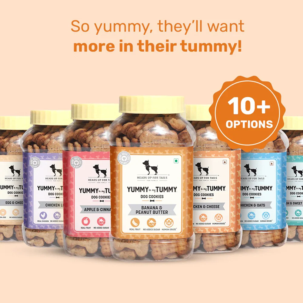 HUFT YIMT Banana and Peanut Butter Biscuits for Dogs - Image 5