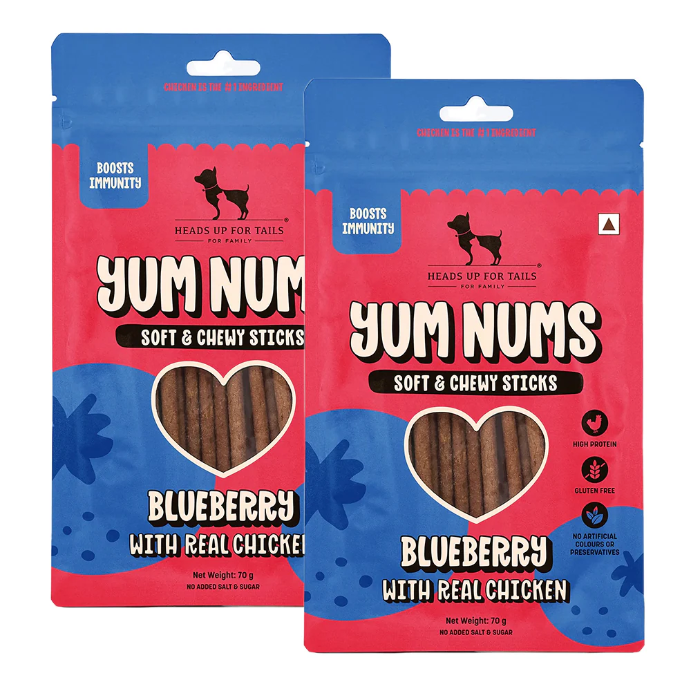 HUFT Yum Nums Blueberry with Real Chicken Soft & Chewy Sticks Dog Treats - Image 6