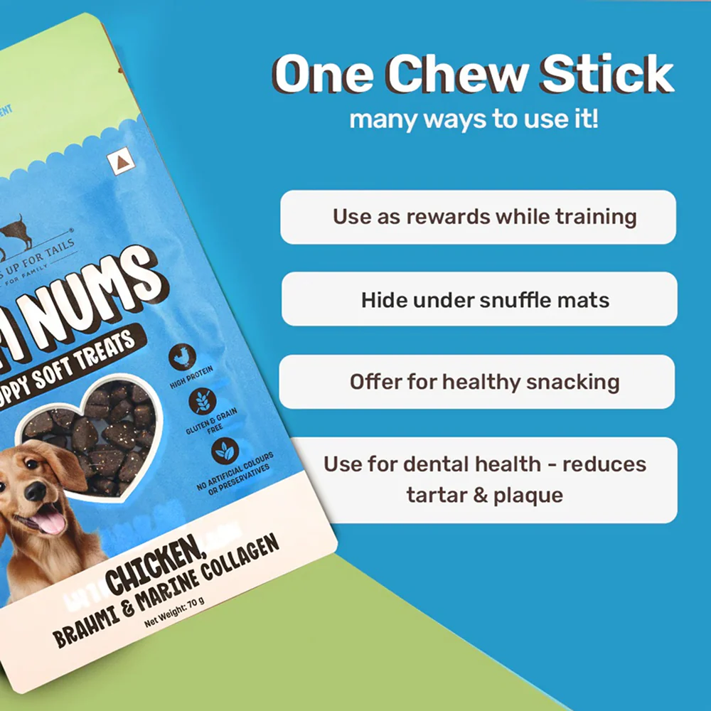 HUFT Yum Nums Chicken Brahmi and Marine Collagen Grain Free Soft Treats for Puppys - Image 2