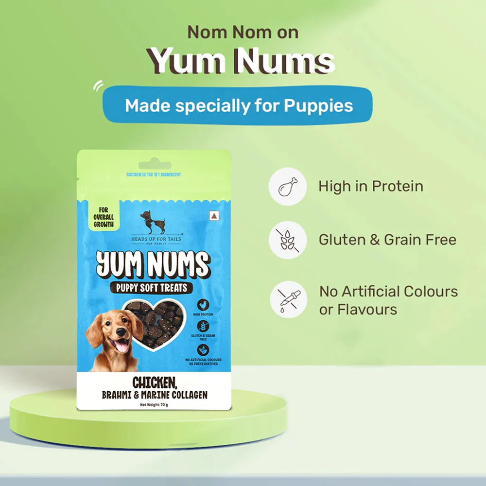 HUFT Yum Nums Chicken Brahmi and Marine Collagen Grain Free Soft Treats for Puppys - Image 3