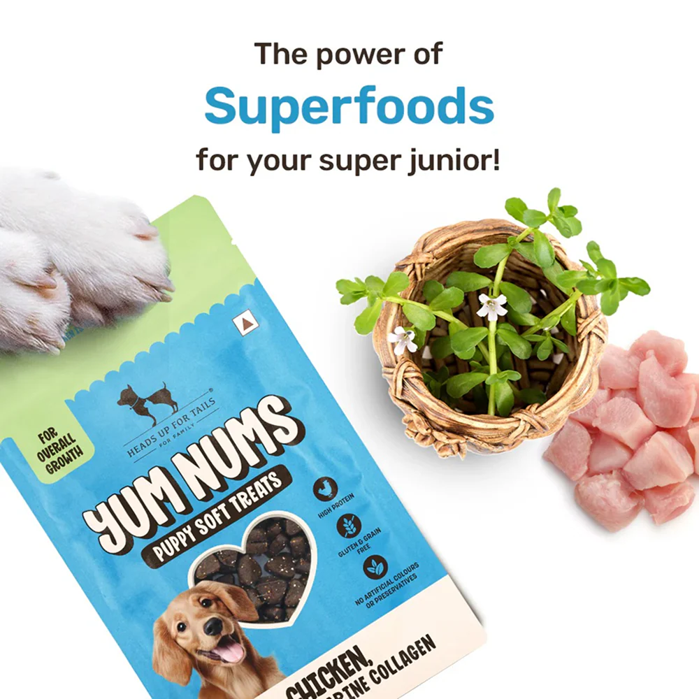 HUFT Yum Nums Chicken Brahmi and Marine Collagen Grain Free Soft Treats for Puppys - Image 4