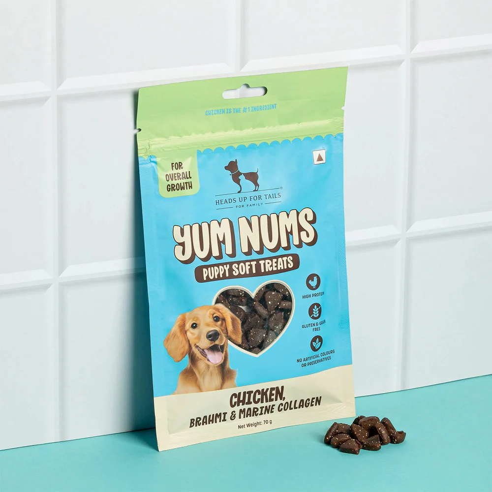 HUFT Yum Nums Chicken Brahmi and Marine Collagen Grain Free Soft Treats for Puppys - Image 6