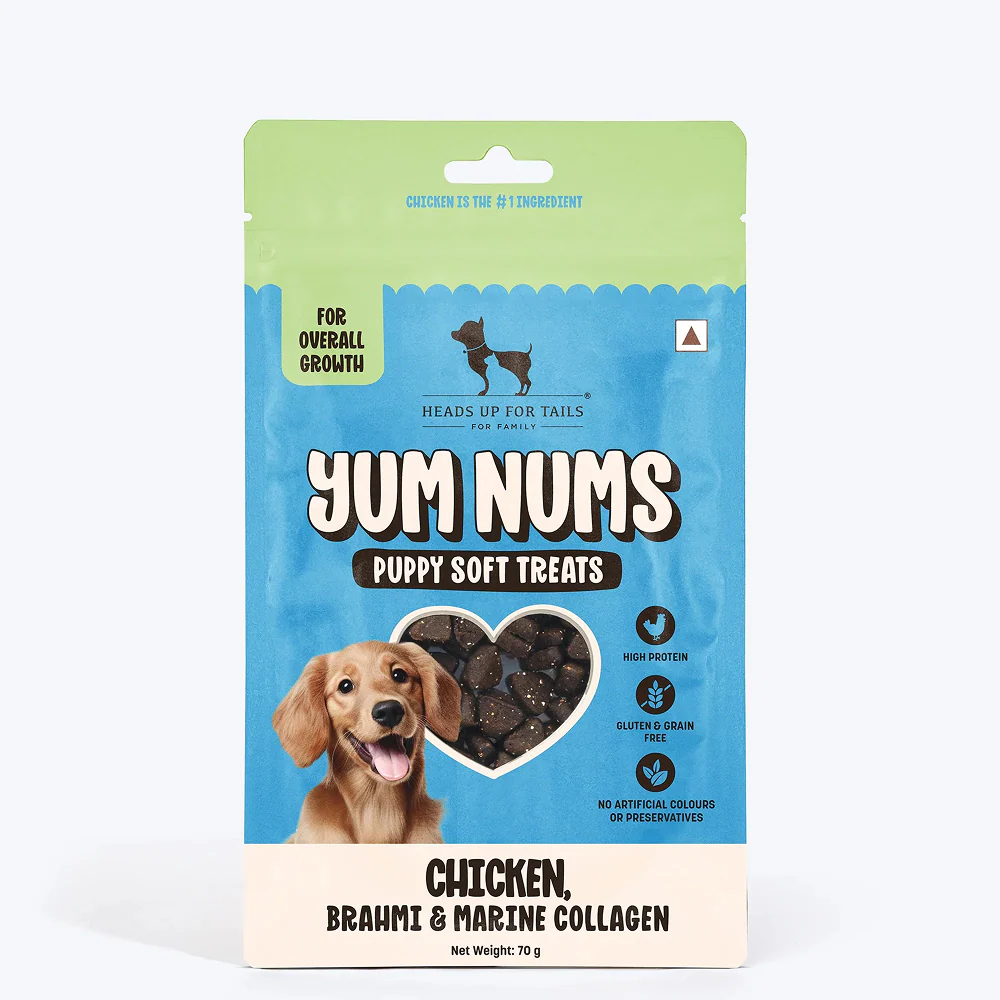 HUFT Yum Nums Chicken Brahmi and Marine Collagen Grain Free Soft Treats for Puppys - Image 8