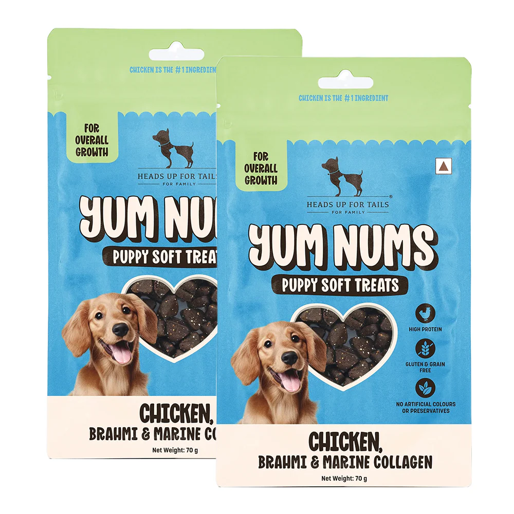 HUFT Yum Nums Chicken Brahmi and Marine Collagen Grain Free Soft Treats for Puppys - Image 9