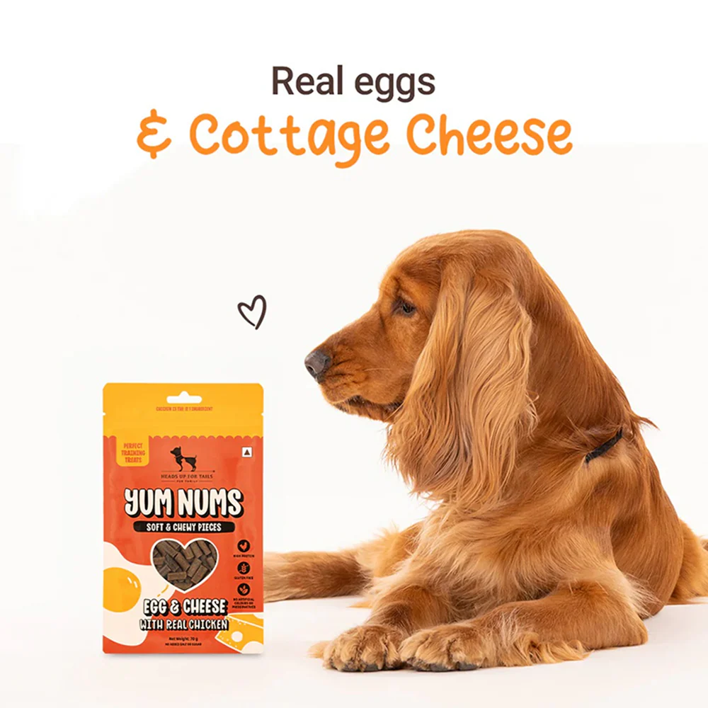 HUFT Yum Nums Egg and Cheese Soft Grain Free Sticks Treat for Dogs - Image 5
