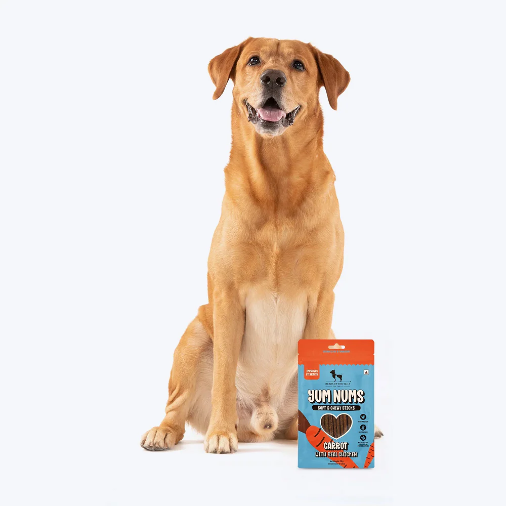 HUFT Yum Nums Grain Free Carrot with Real Chicken Soft & Chewy Sticks Dog Treats - Image 5