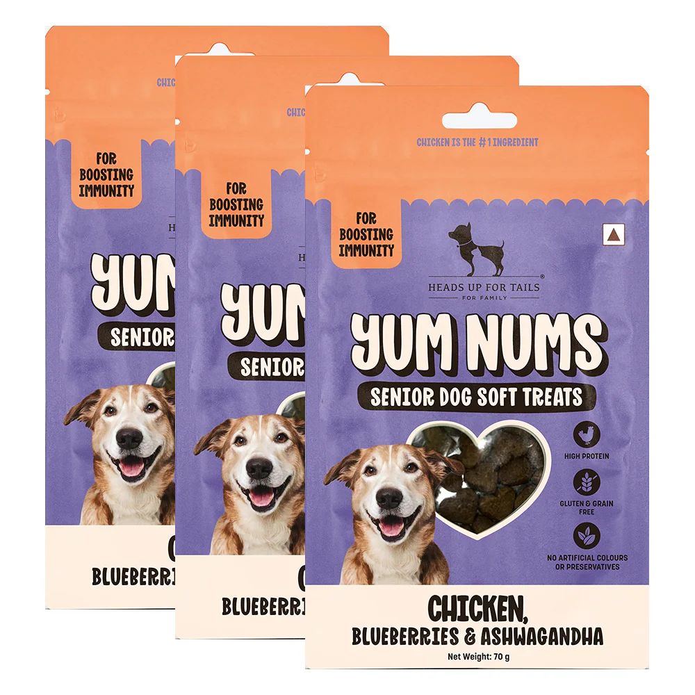 HUFT Yum Nums Grain Free Chicken, Blueberries & Ashwagandha Soft & Chewy Sticks Senior Dog Treats - Image 10