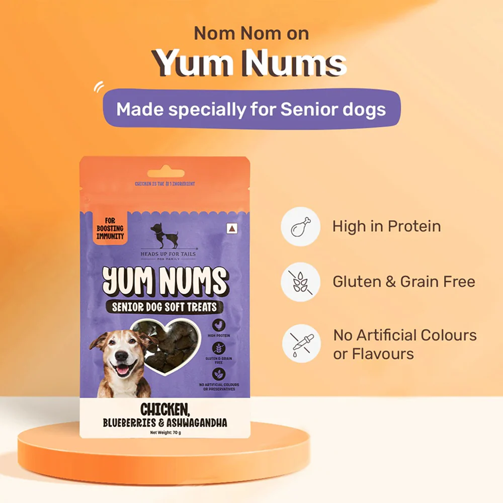HUFT Yum Nums Grain Free Chicken, Blueberries & Ashwagandha Soft & Chewy Sticks Senior Dog Treats - Image 2
