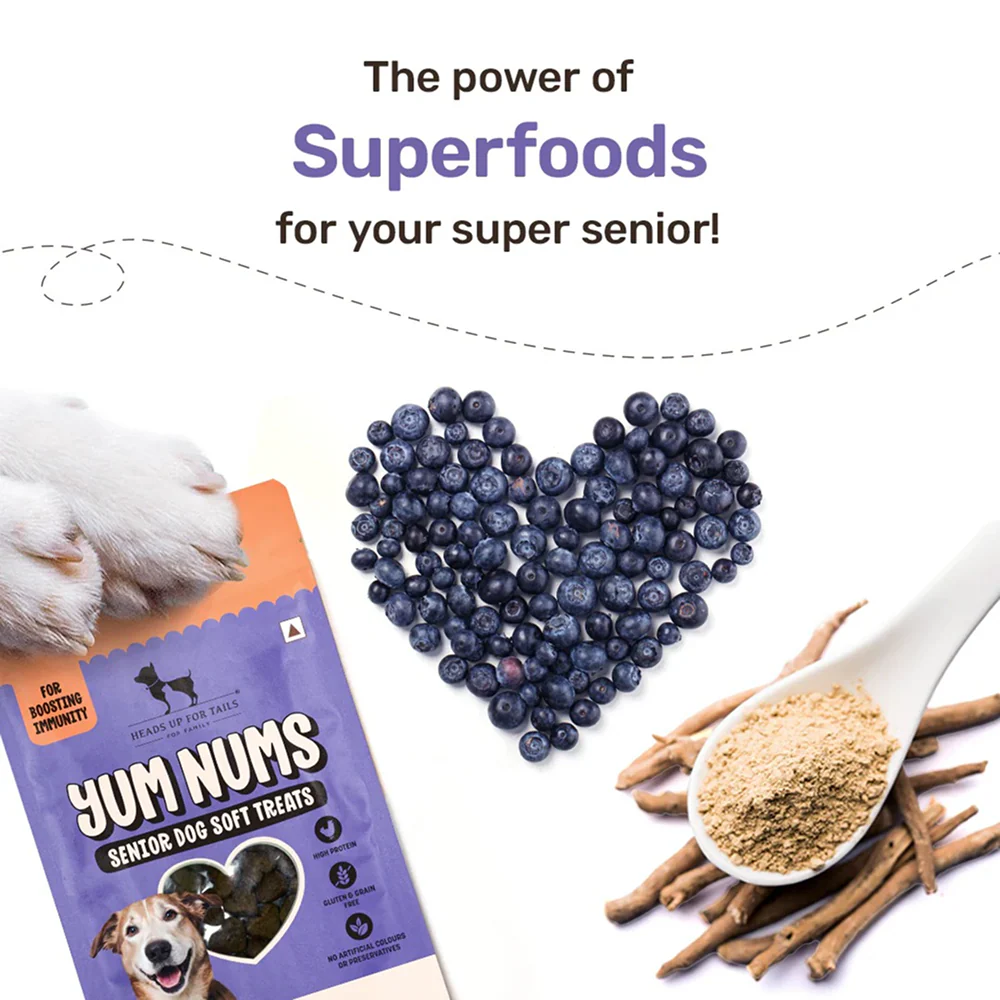 HUFT Yum Nums Grain Free Chicken, Blueberries & Ashwagandha Soft & Chewy Sticks Senior Dog Treats - Image 5