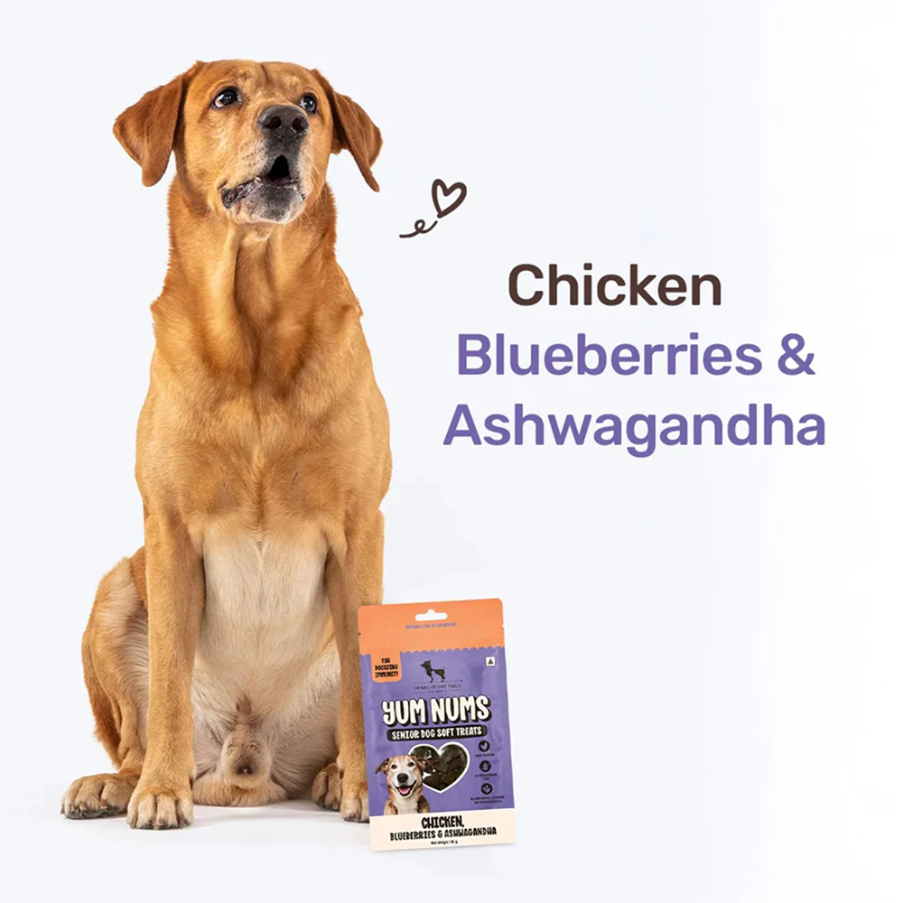 HUFT Yum Nums Grain Free Chicken, Blueberries & Ashwagandha Soft & Chewy Sticks Senior Dog Treats - Image 6