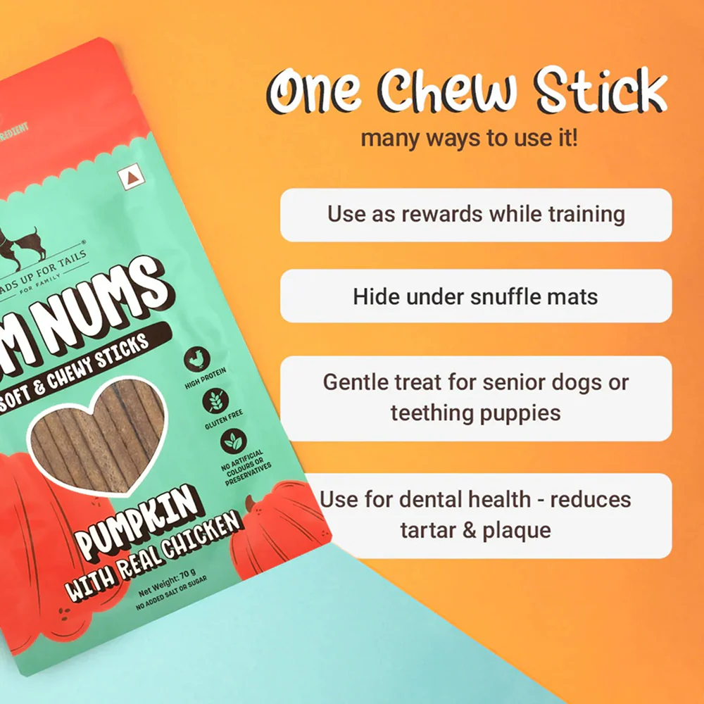 HUFT Yum Nums Pumpkin with Real Chicken Soft and Chewy Grain Free Sticks Treat for Dogs - Image 3