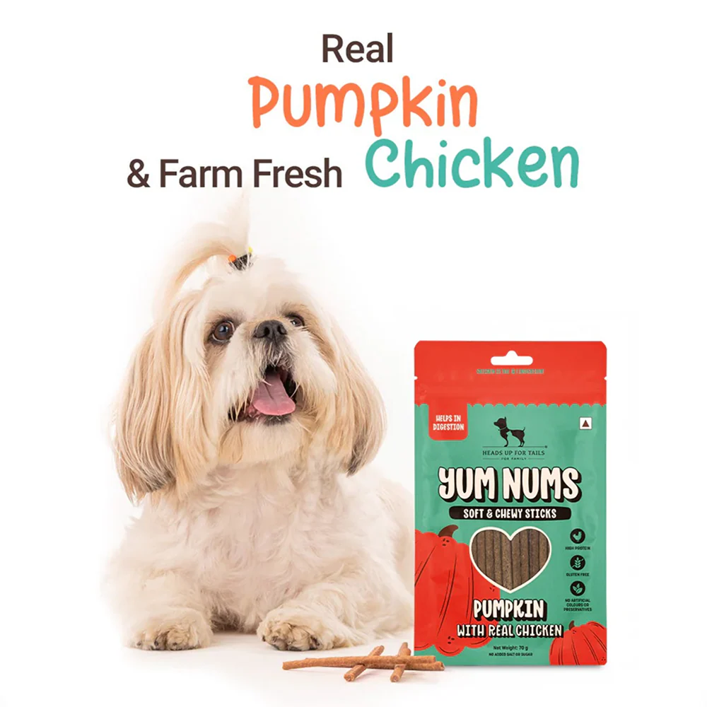 HUFT Yum Nums Pumpkin with Real Chicken Soft and Chewy Grain Free Sticks Treat for Dogs - Image 5
