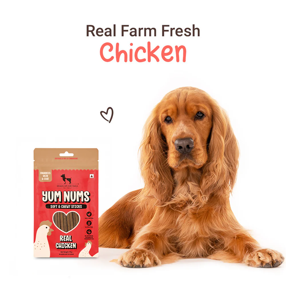 HUFT Yum Nums Real Chicken Soft & Chewy Sticks Dog Treats - Image 5