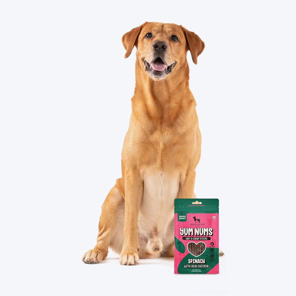 HUFT Yum Nums Soft and Chewy Spinach with Real Chicken Grain Free Stick Treats for Dogs - Image 4