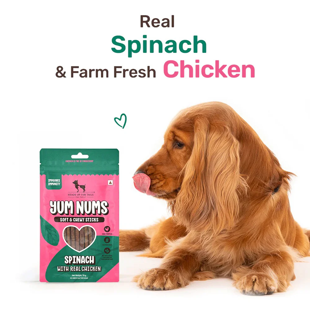 HUFT Yum Nums Soft and Chewy Spinach with Real Chicken Grain Free Stick Treats for Dogs - Image 5