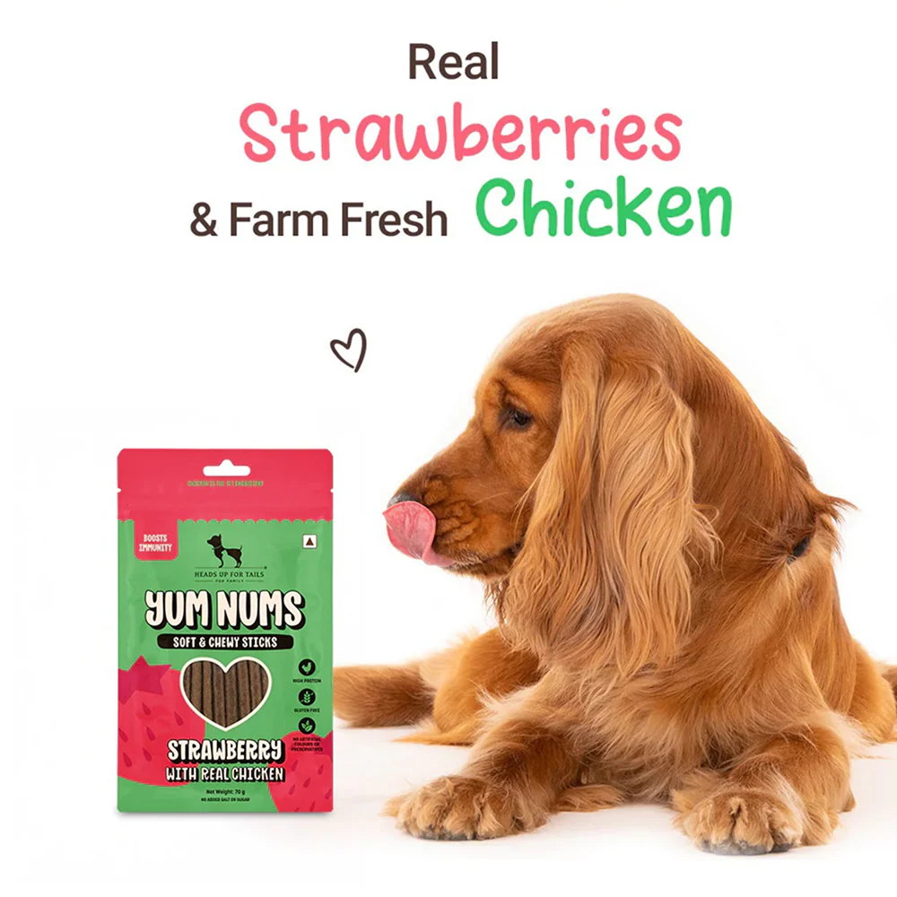 HUFT Yum Nums Soft and Chewy Strawberry with Real Chicken Grain Free Sticks Treats for Dogs - Image 5