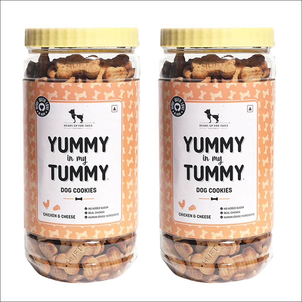 HUFT Yummy in my Tummy Chicken and Cheese Cookies Dog Treats - Image 6