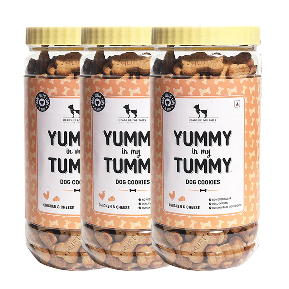 HUFT Yummy in my Tummy Chicken and Cheese Cookies Dog Treats - Image 7