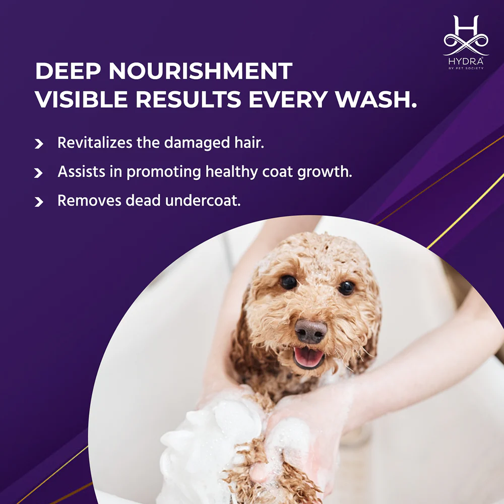 Hydra Groomers Oatmeal Moisturizing Conditioner for Cats & Dogs - Image 3