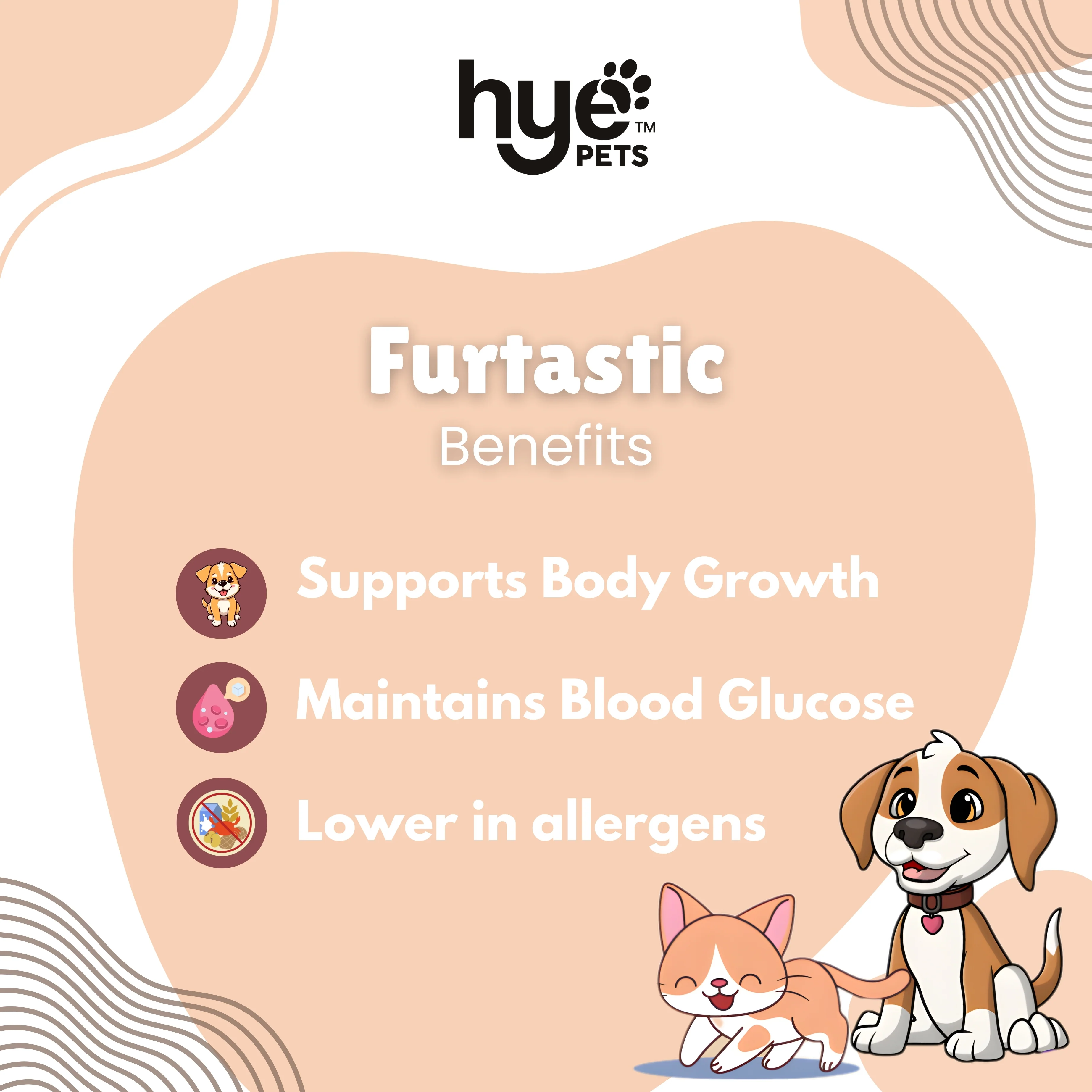 HYE Pets Nutrient Rich Full Fat Camel Milk Powder for Dogs and Cats - Image 4