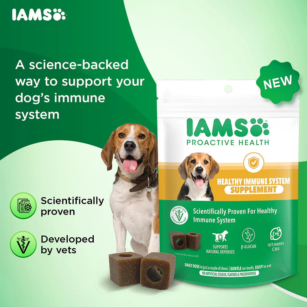 IAMS Proactive Health Dog Supplement For Healthy Immune System - Image 3
