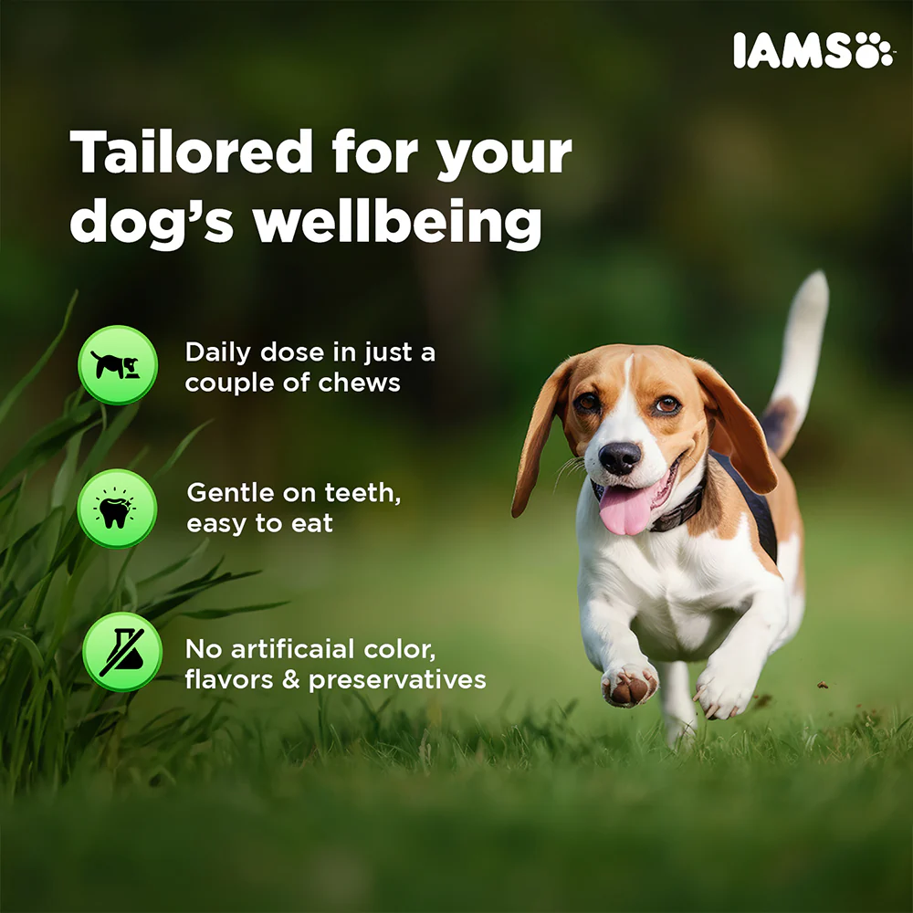IAMS Proactive Health Dog Supplement For Healthy Immune System - Image 4
