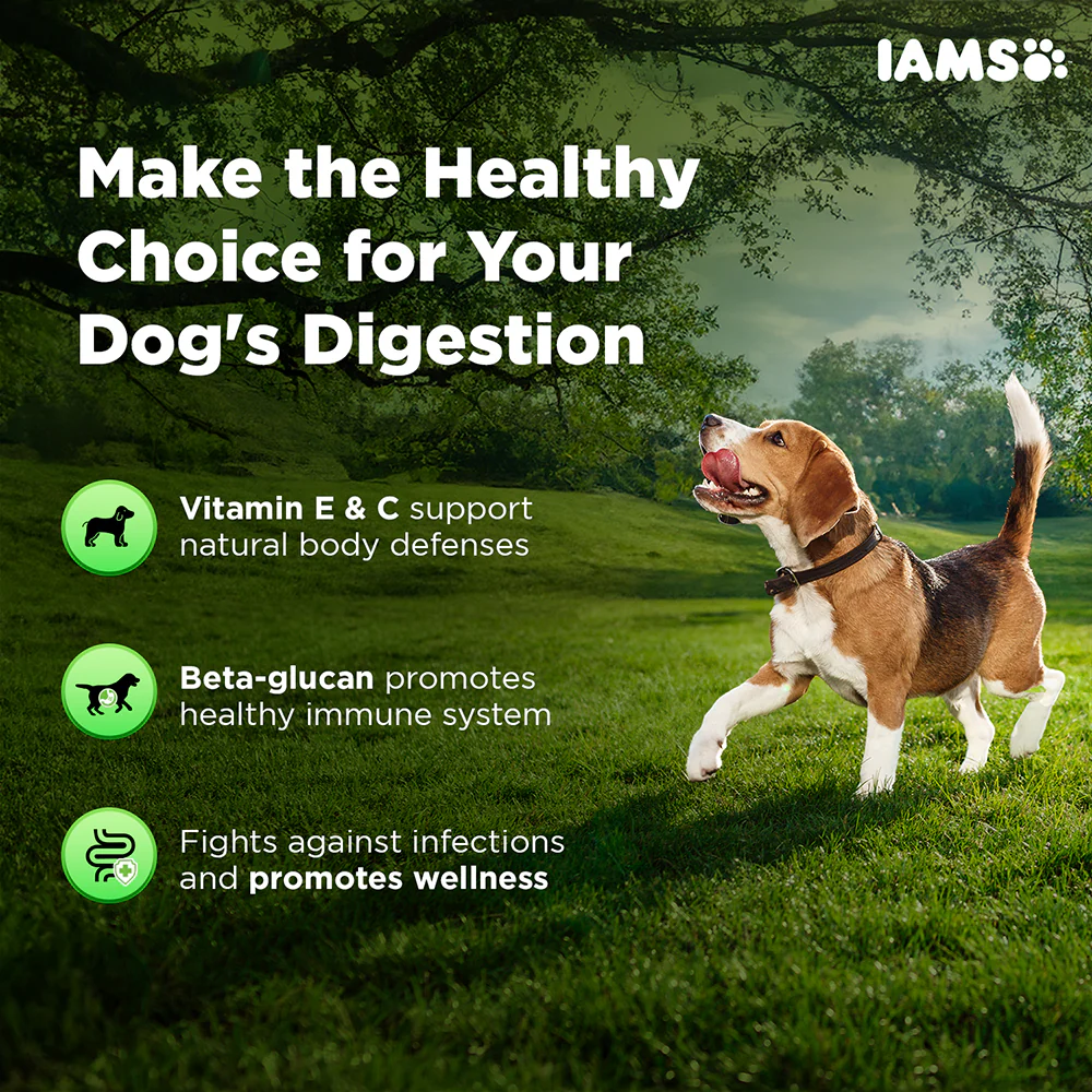 IAMS Proactive Health Dog Supplement For Healthy Immune System - Image 5