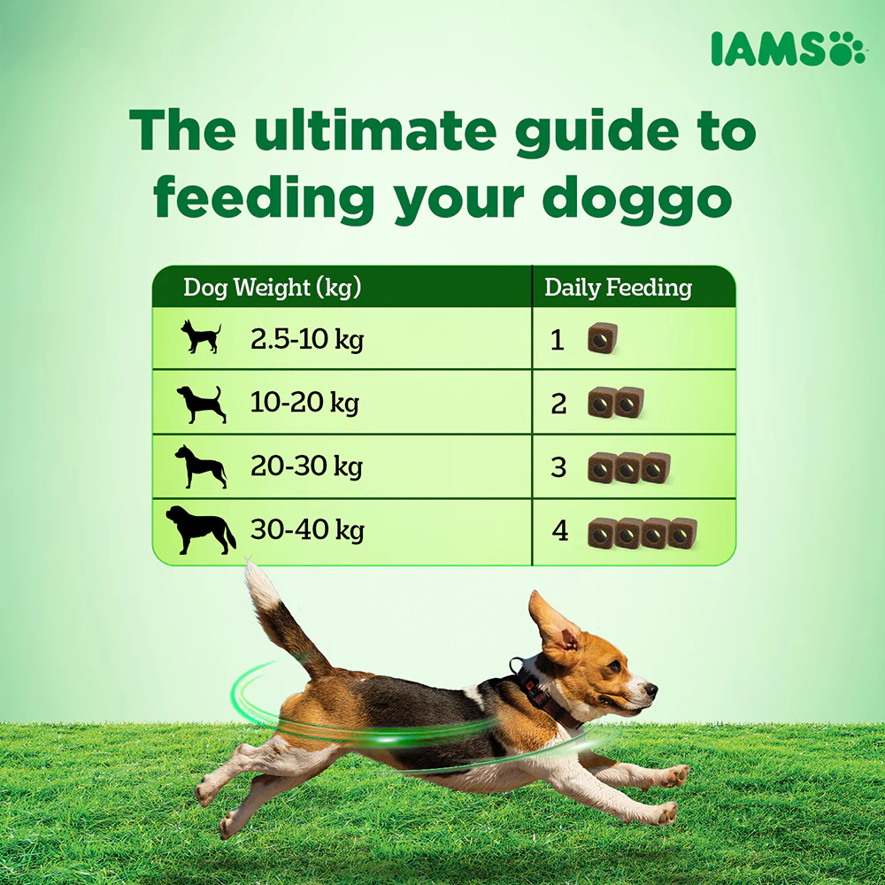 IAMS Proactive Health Dog Supplement For Healthy Immune System - Image 7
