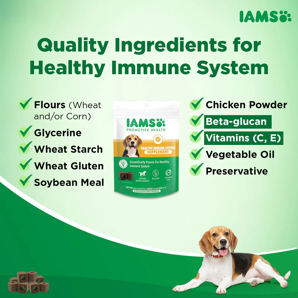 IAMS Proactive Health Dog Supplement For Healthy Immune System - Image 8