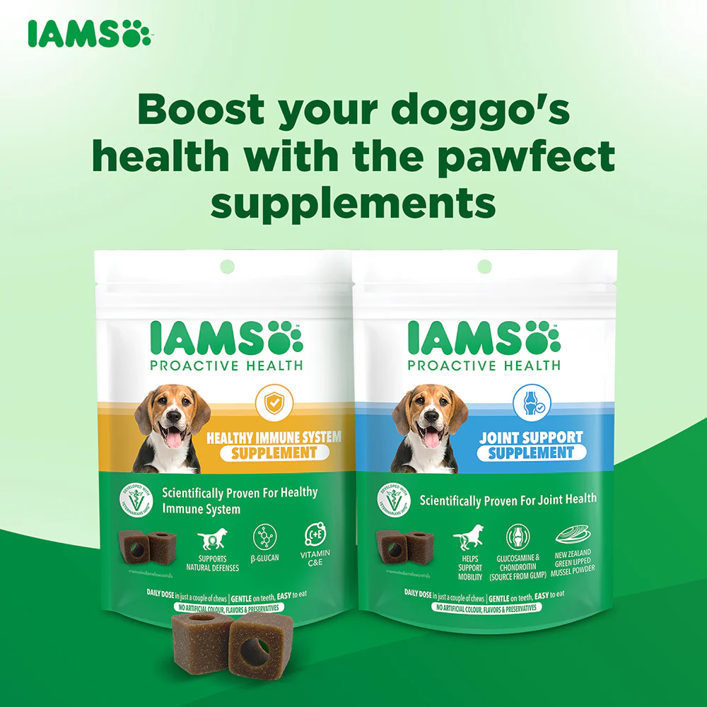 IAMS Proactive Health Dog Supplement For Healthy Immune System - Image 9