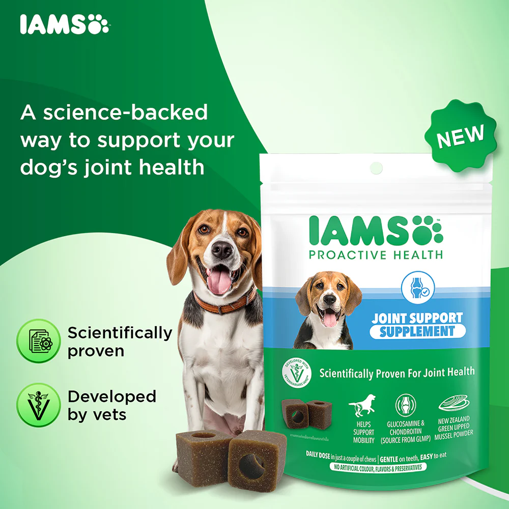 IAMS Proactive Health Dog Supplement For Joint Support - Image 3