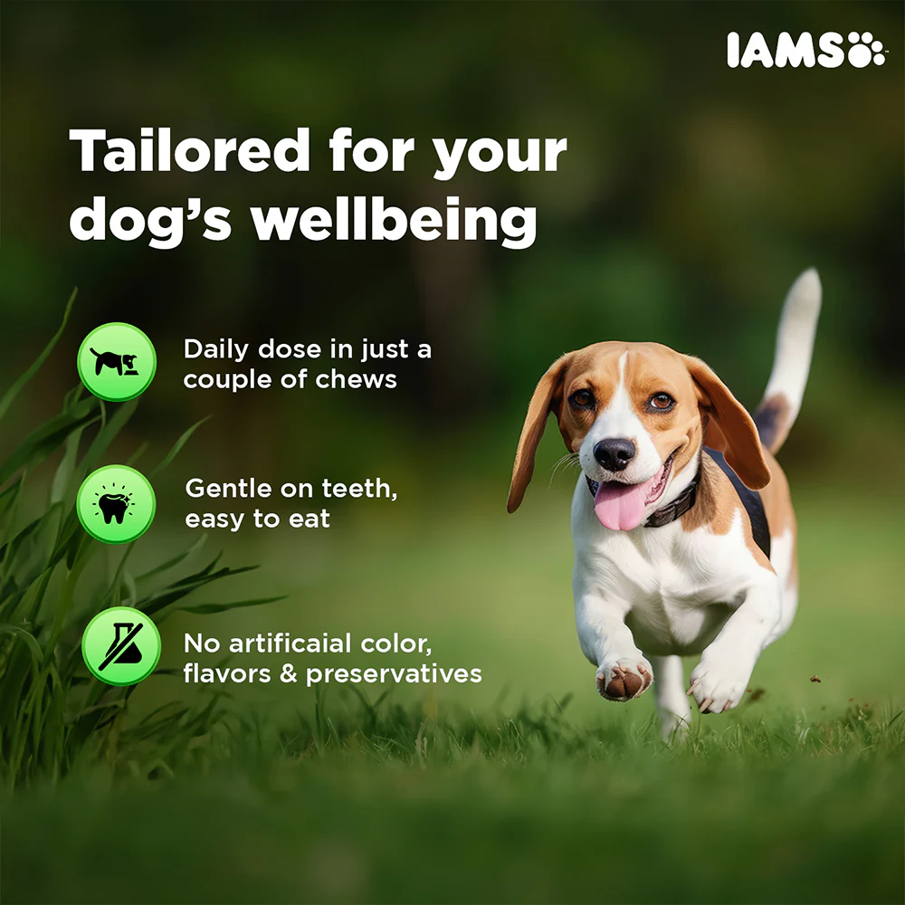 IAMS Proactive Health Dog Supplement For Joint Support - Image 4