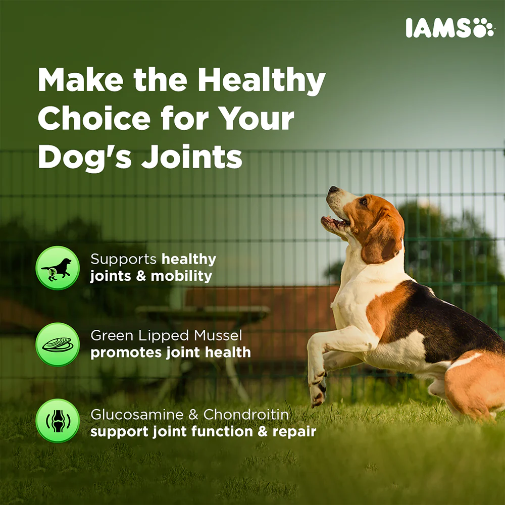IAMS Proactive Health Dog Supplement For Joint Support - Image 5